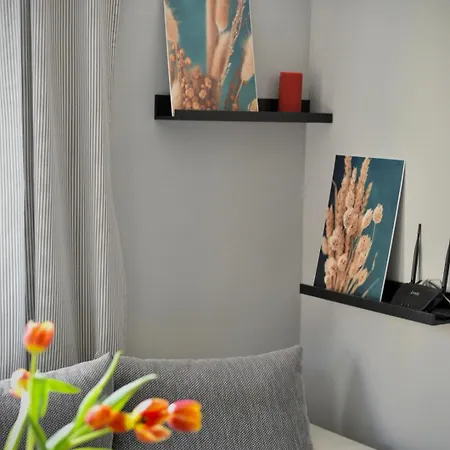 Cozy Sunny Apartman Napospart